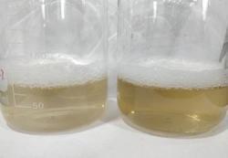 Экстракт гарцинии камбоджийской с мыльным орехом 10%-70% сапонинов (арт. 25-17072339)