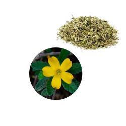 Экстракт листьев дамьяны 100:1 для здоровья (арт. 25-17072343)