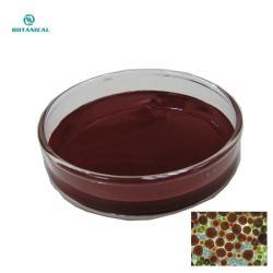 Жидкое масло астаксантина для кожи (арт. 25-17072344)