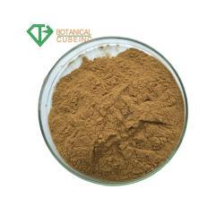 Порошок экстракта семян Витекса (арт. 25-17072404)