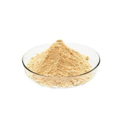 Порошок сока Хами-дыни органический (арт. 25-17072413)