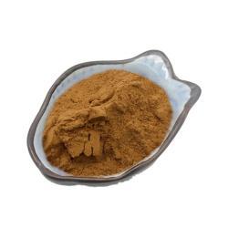 Порошок Гриба Львиная Грива Экстракт 30% (арт. 25-17072468)