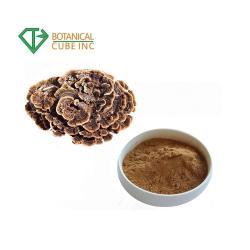 Экстракт гриба Турецкий Хвост высокого качества с полисахаридами в порошке (арт. 25-17072471)