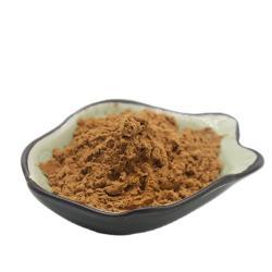 Экстракт Антродии Камфорной с Полисахаридами 30% 50% (арт. 25-17072472)