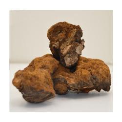 Экстракт Инотуса обликуса в порошк (арт. 25-17072475)