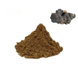 Экстракт Инотуса обликуса в порошк (арт. 25-17072475)