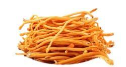 Органический экстракт кордицепса (арт. 25-17072492)