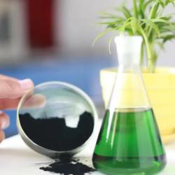 Пищевой пигмент натуральный зеленый на основе хлорофиллина натрия и магния (арт. 25-17072500)