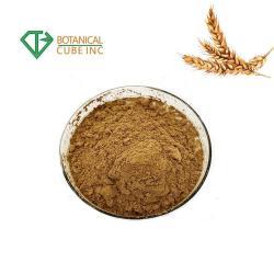 Органический порошок сушеного солода для пищевых целей (арт. 25-17072502) - Питательный органический солодовый порошок (арт. 25-17072503)