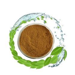 Органический порошок листьев мяты с экстрактом для освежающего чая и десертов (арт. 25-17072536)