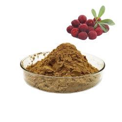 Экстракт байберри в порошке 10:1 (арт. 25-17072536)