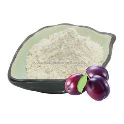 Пудра из чернослива 100% водорастворимая (арт. 25-17072542)