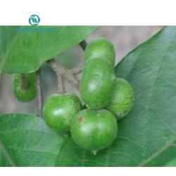 Экстракт африканской сливы и прунуса для здоровья мужчин (арт. 25-17072571)