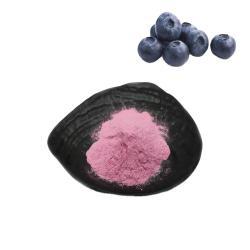 Экстракт антоцианов черники натуральный в порошке 98% (арт. 25-17072657)