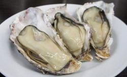 Пищевой порошок из моллюсков (арт. 25-17072680)