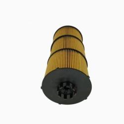 Топливный и масляный фильтр LF17511 A4731800809 для автозапчастей (арт. 25-28071828)