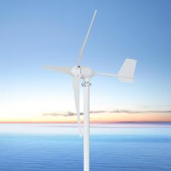 Генератор ветротурбинный домашний 2000W 6 лопастей 580мм (арт. 25-5081058)