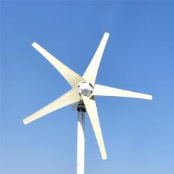 Ветрогенератор бытовой 5 лопастей MPPT контроллер 500-1000W (арт. 25-5081100)