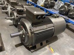 Генератор энергии 500kW 3 фазы 300RPM 220V/80V (арт. 25-5081129)