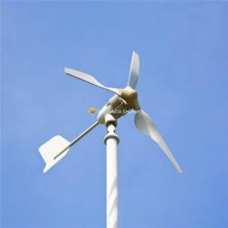 Генератор ветряной 3000W 12V 24V с контроллером (арт. 25-5081208)