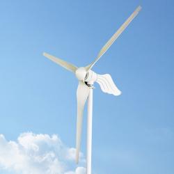 Ветротурбина горизонтальная 3000W 24v 48v для дома (арт. 25-5081272)