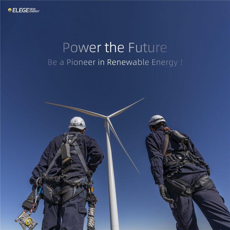 Генераторы ветряные OEM ODM для сети дилеров глобальных (арт. 25-5081317)