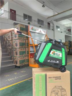 Генератор однофазный 3.8 кВт Quality Raise (арт. 25-5083964)