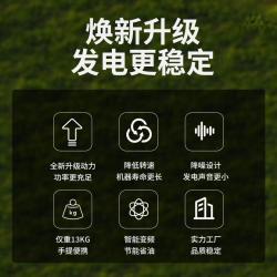 Генератор бензиновый портативный 3 кВт легкий 3 кВ (арт. 25-5084124)