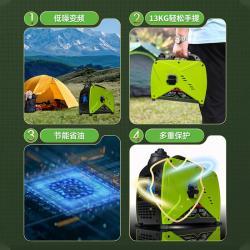 Генератор газовый портативный 1 кВт 4-тактный бытовой (арт. 25-5084196)