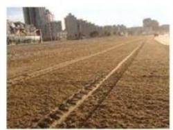 Очиститель пляжа для трактора 75HP SOCMA STC1800 (арт. 25-5085718)