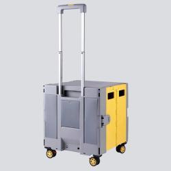 Тележка складная для покупок с сумкой и овощным отделением (арт. 25-5086114)