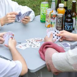 Тележка складная 4-колесная для покупок и кемпинга (арт. 25-5086211)