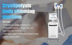 Криолиполизер 360° охлаждение RF липолазер для похудения (арт. 25-19081916)