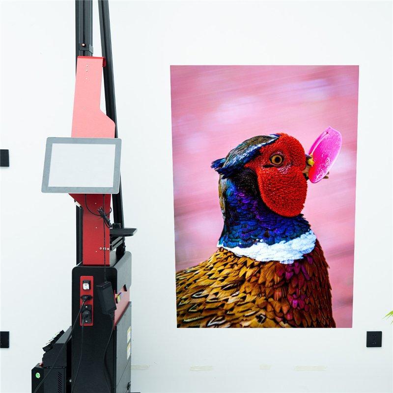 Принтер для настенных изображений 5D HD Inkjet (арт. 25-19082141)