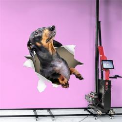 Принтер настенный автоматический 3D для росписи (арт. 25-19082182)