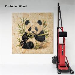 Робот для печати на стенах и полу 3D 2 в 1 (арт. 25-19082313)