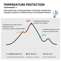 Зарядное устройство для электромобилей 7кВт Type 2 настенное (арт. 25-19083064)