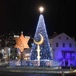 Елка уличная металлическая светящаяся гигантская 2023 (арт. 26-1090448)