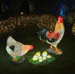 Скульптура жирафа из стекловолокна с подсветкой для ТЦ (арт. 26-1090452)