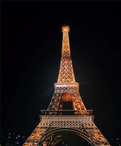 Скульптура из металла Эйфелева башня с LED подсветкой 32м (арт. 26-1090481)