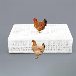 Ящик для перевозки птиц с раздвижной крышкой для голубей (арт. 26-1200015)