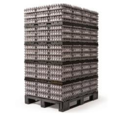 Система транспортировки яиц пластиковая на 12960 яиц (арт. 26-1200084)