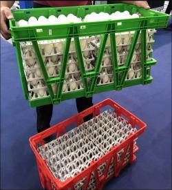 Ящик для яиц пластиковый 30 ячеек для транспортировки (арт. 26-1200094)