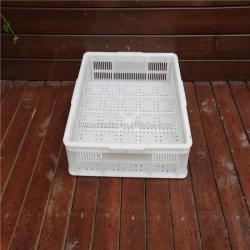 Корзина для тофу пластиковая (арт. 26-1200113)