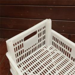 Ящик пластиковый для фруктов виноград/клубника (арт. 26-1200146)