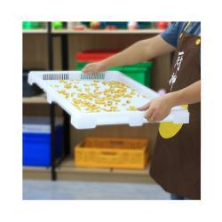 Лоток пластиковый сушильный сетчатый штабелируемый для кондитерских изделий (арт. 26-1200169)