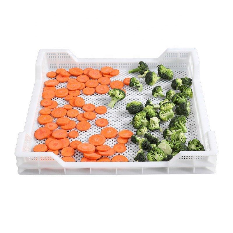 Камера дегидрации с пластиковым лотком для овощей и мяса (арт. 26-1200183)