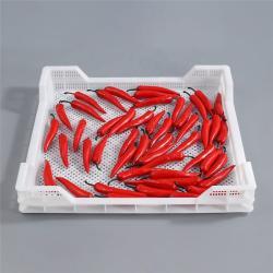 Камера дегидрации с пластиковым лотком для овощей и мяса (арт. 26-1200183)