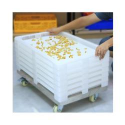 Лотки пластиковые hdpe штабелируемые с вентиляцией для сушки трав (арт. 26-1200185)