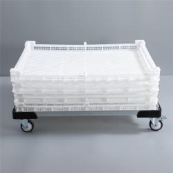 Лоток пластиковый 600*400*65 мм для сушки фруктов (арт. 26-1200189)